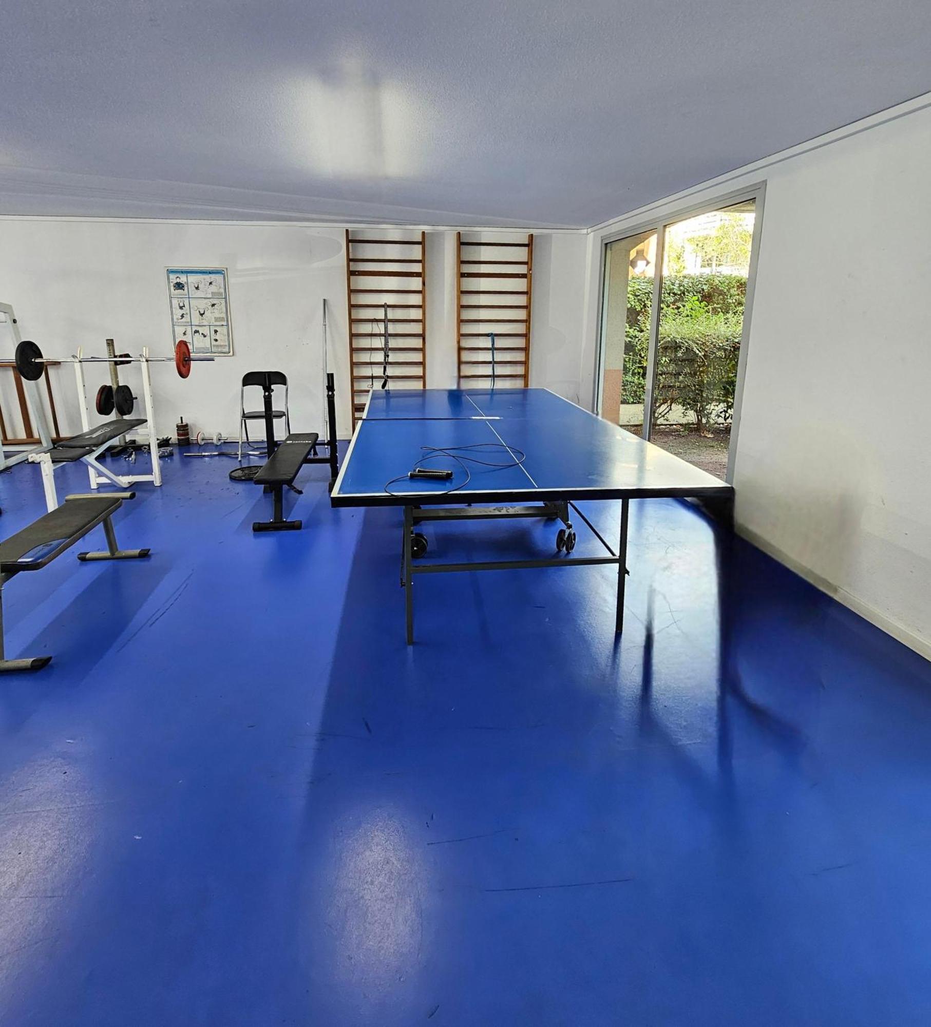 T2 Havre De Paix 2 A 4 P - Terrasse - Parking - Piscine - Salle Sport - Tennis Toulouse Kültér fotó